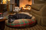 NEW_-_Canine_Styles_-_Cotton_Canvas_-_Ivy_League_-_Dog_Bed_4_CS_White_BackgroundCA1_3421_2048x2048_b79f6d4d-27eb-46bc-bb8c-93868ff2b9bc