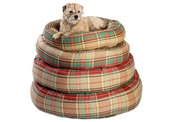 NEW_-_Canine_Styles_-_Cotton_Canvas_-_Ivy_League_-_Dog_Bed_4_CS_White_BackgroundCA1_3421_2048x2048_b79f6d4d-27eb-46bc-bb8c-93868ff2b9bc