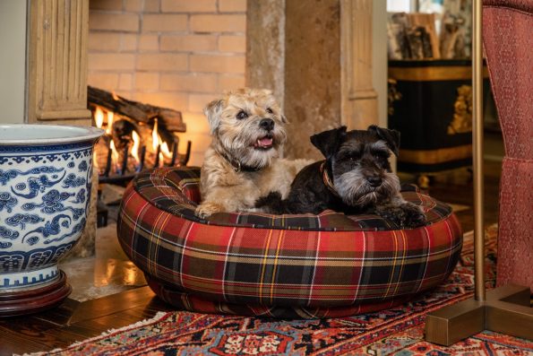 NEW_-_Canine_Styles_-_Cotton_Canvas_-_Maclachlan_red_Plaid_-_Dog_Bed_5_CA1_5052