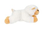 pp20009-lamb
